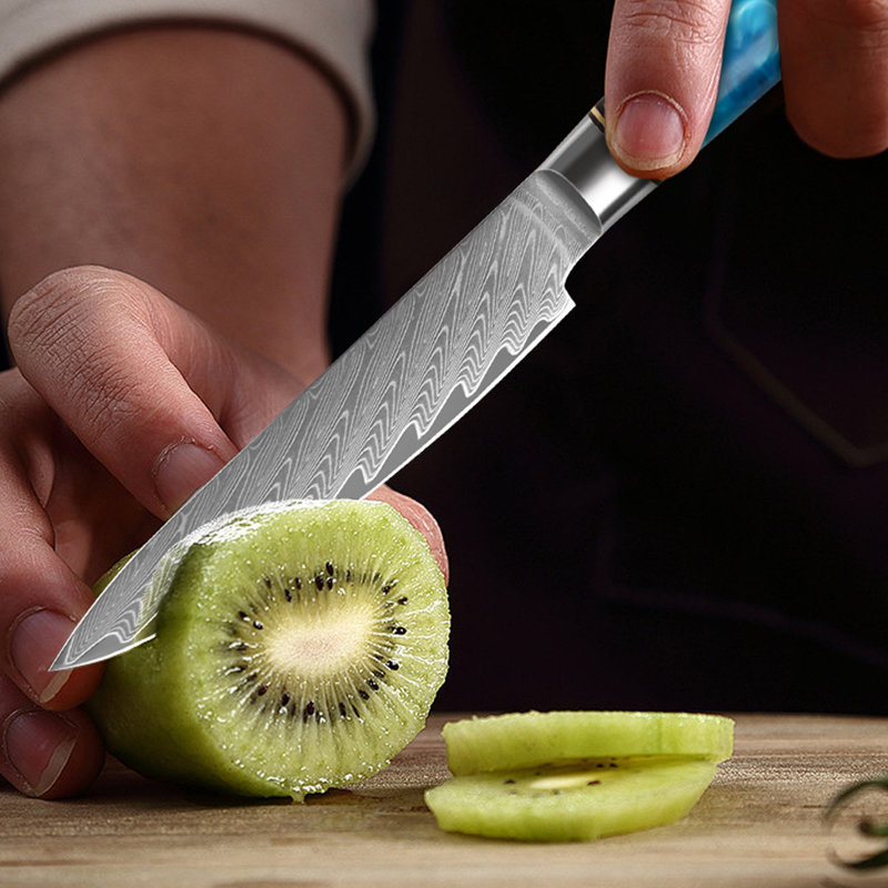 5-inch utilitymes Damascus sta - Japanese Knife recensie en prijs